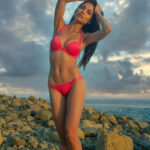 K91A0272-Enhanced-NR