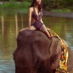 _T9D7855-Enhanced-NR-3