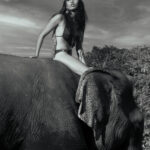 _T9D7915-Edit-DeNoiseAI-standard-2