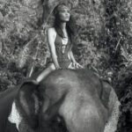 _T9D8011-Edit-DeNoiseAI (1)-2