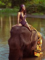 _T9D7855-Enhanced-NR-3