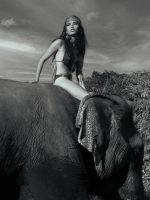 _T9D7915-Edit-DeNoiseAI-standard-2