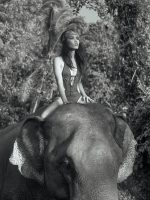 _T9D8011-Edit-DeNoiseAI (1)-2